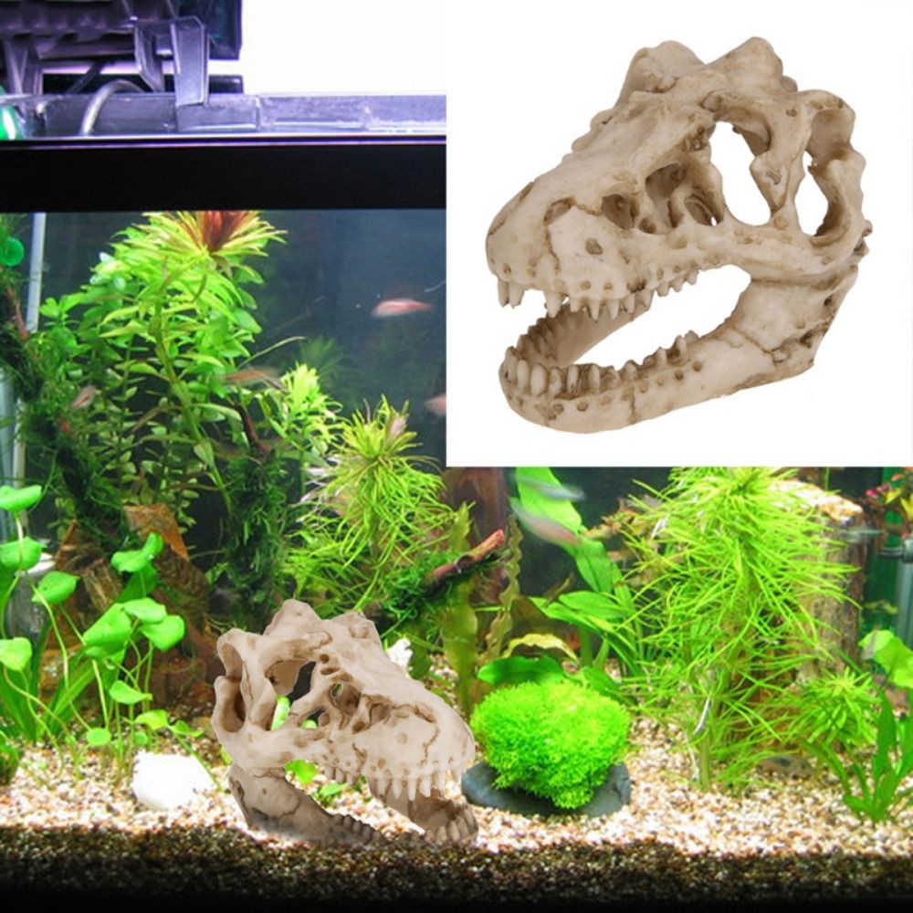 Aquarium Fish Escape - Simulação criativa dinossauro crânio escape casa