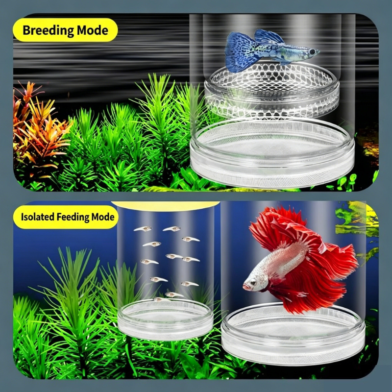 Aquarium Fish Betta - Caixa de Eclosão Transparente para Aquário,