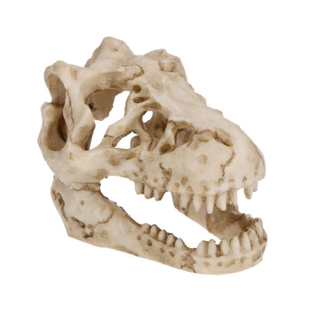 Simulação criativa dinossauro  - Aquarium Fish Escape avaliação e preço