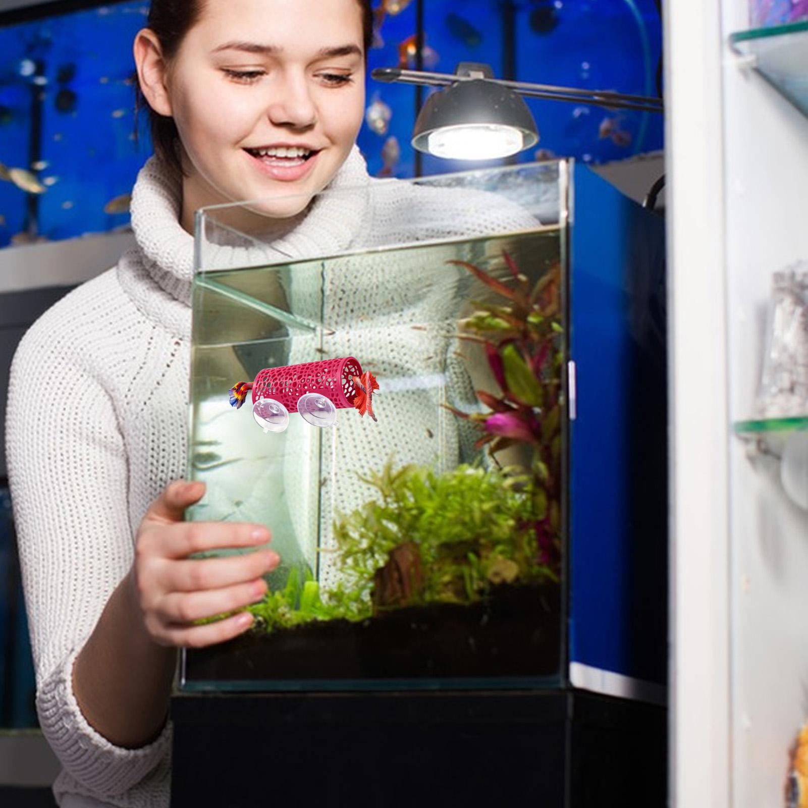 Abrigo de Descanso para Bettas - Aquarium Fish Betta avaliação e preço