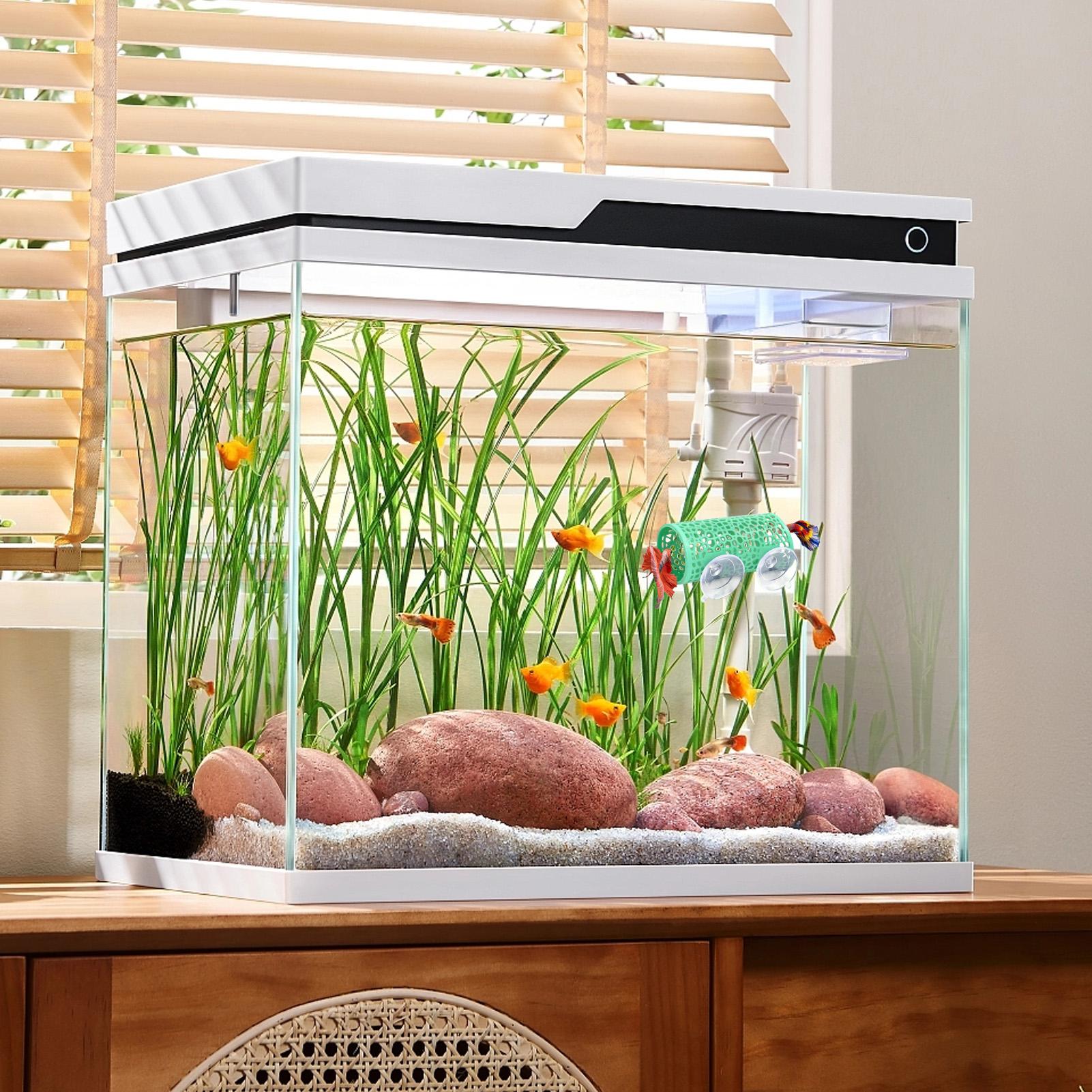 Abrigo de Descanso para Bettas - Aquarium Fish Betta avaliação e preço