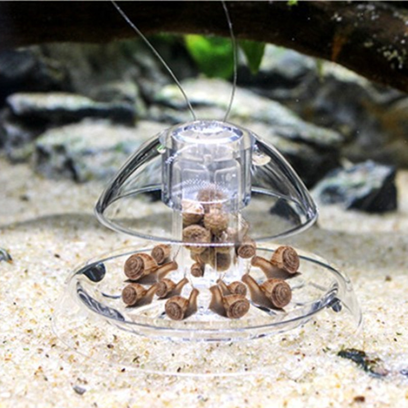 Caracol Armadilha Plástico Aqu - Aquarium Fish Escape avaliação e preço