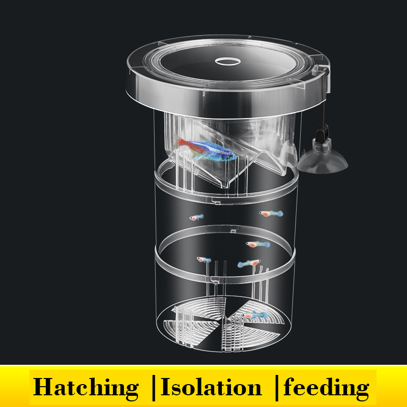Caixa de isolamento flutuante  - Aquarium Fish Betta avaliação e preço