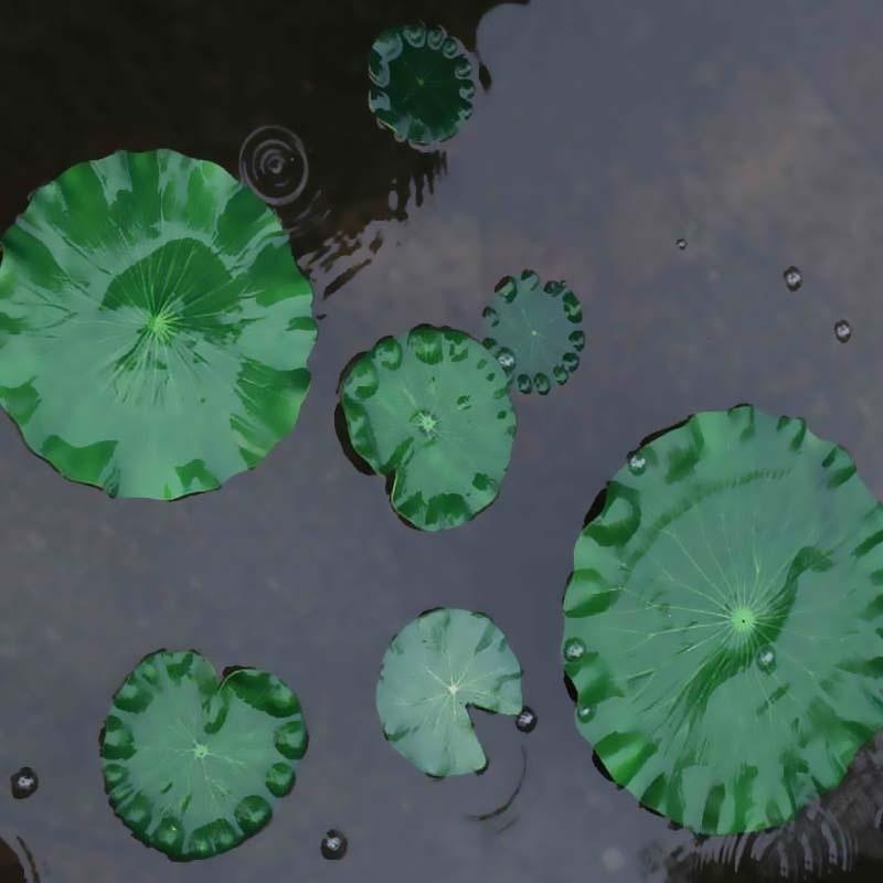 Folhas de Lótus Artificiais 20 - Aquarium Fish Artificial avaliação e preço