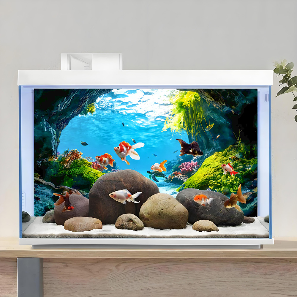 Paraíso das Tartarugas, Pintur - Aquarium Fish Paradise avaliação e preço