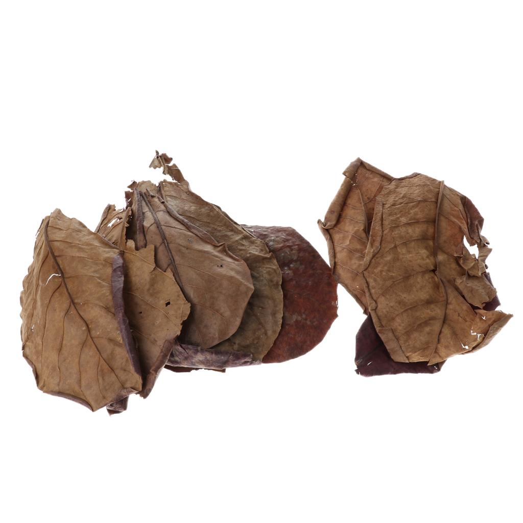 Aditivo para Filtro de Aquário - Aquarium Fish Betta avaliação e preço