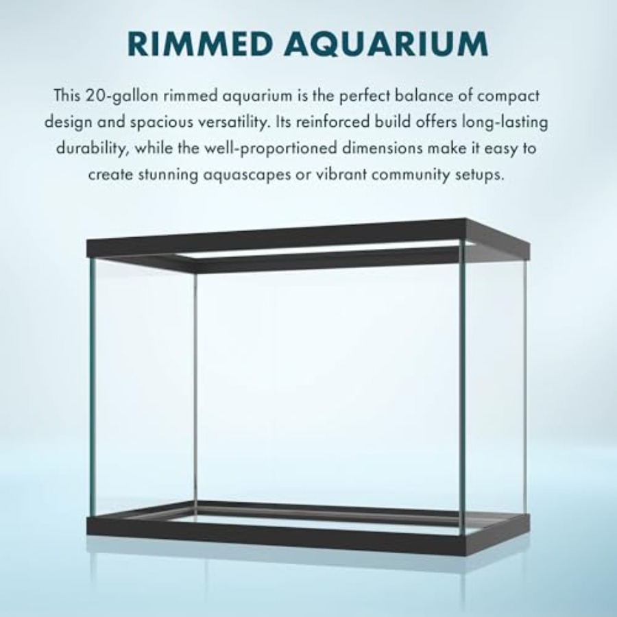 Aquário de vidro de 20 galões  - Aquarium Fish Betta avaliação e preço
