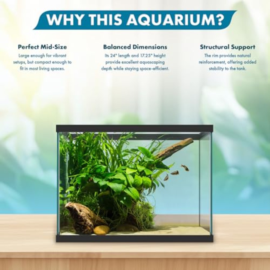 Aquário de vidro de 20 galões  - Aquarium Fish Betta avaliação e preço