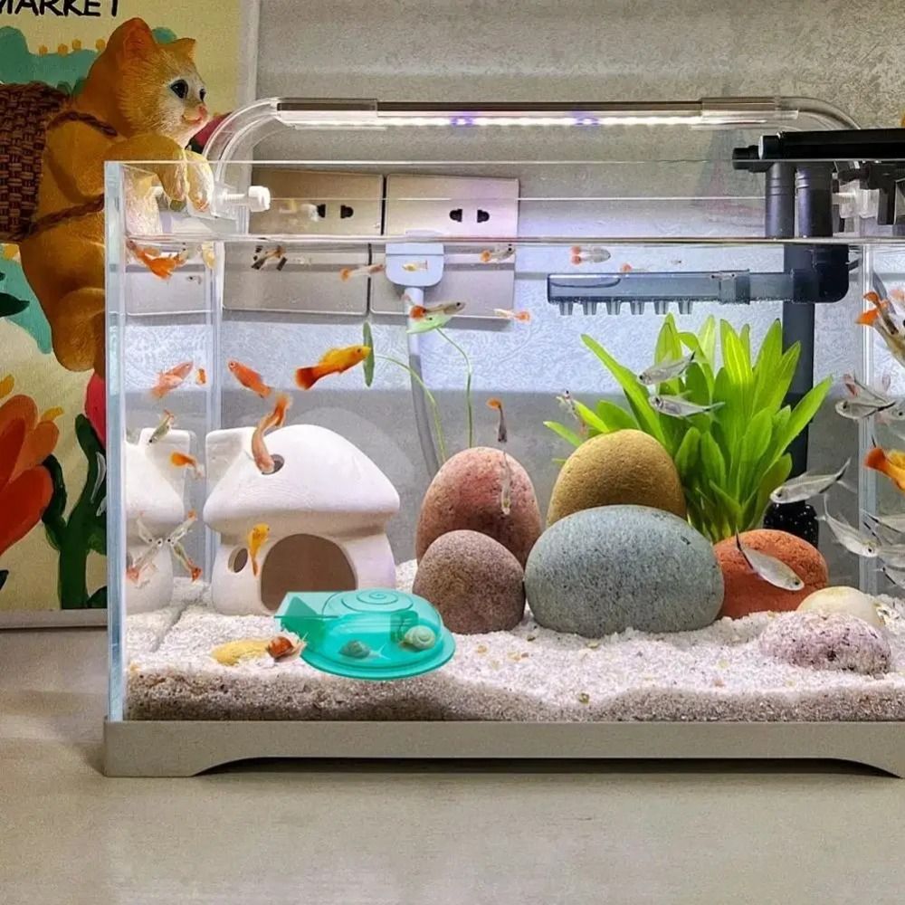 Armadilha para Caracóis de Aqu - Aquarium Fish Escape avaliação e preço