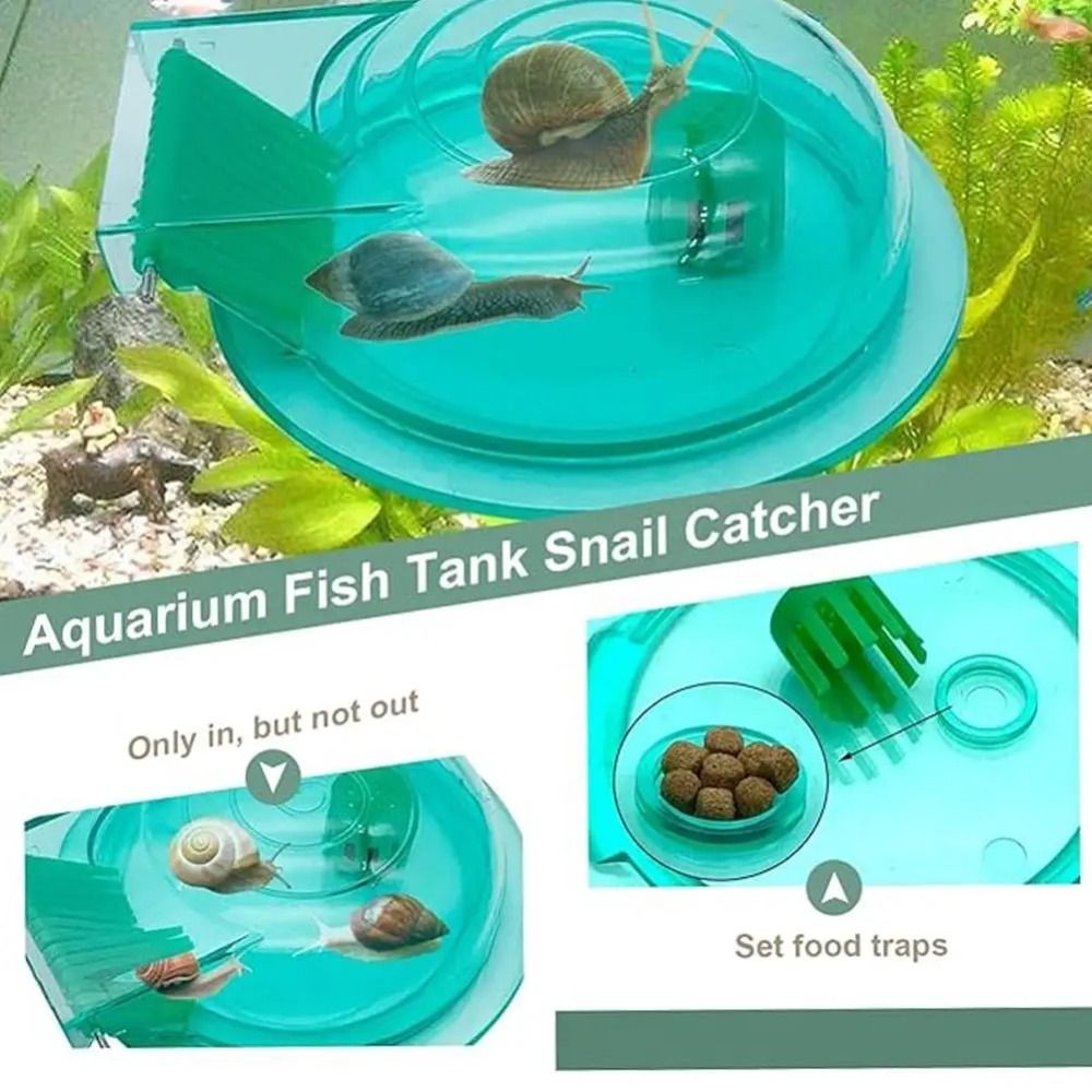 Armadilha para Caracóis de Aqu - Aquarium Fish Escape avaliação e preço