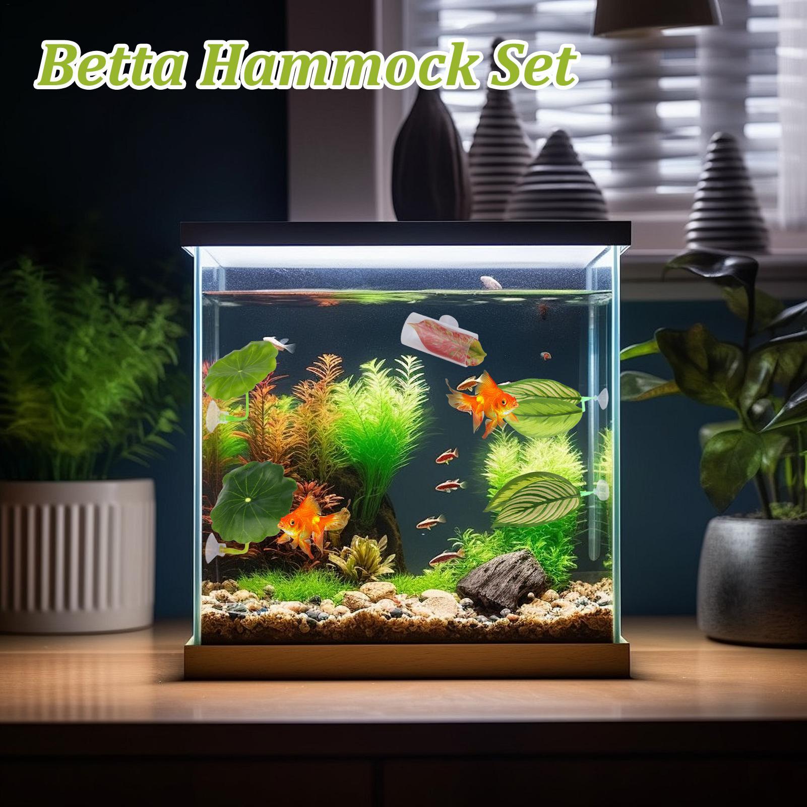 Rede de peixe betta 5 peças aj - Aquarium Fish Betta avaliação e preço