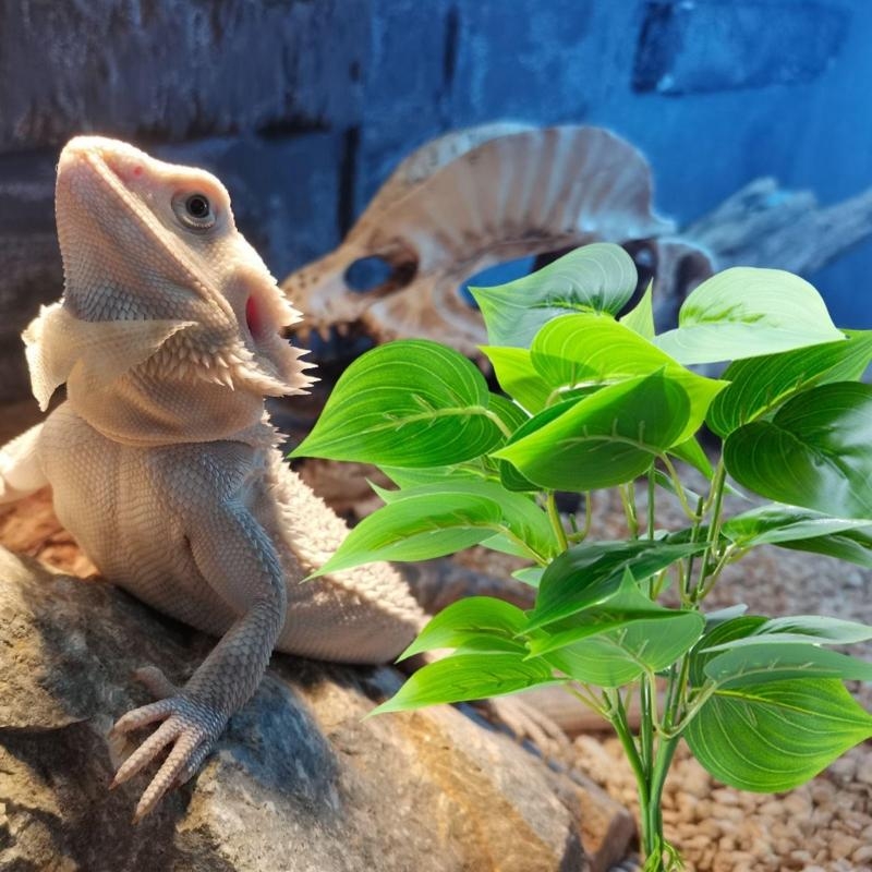 Aquários aquários peixes pendu - Aquarium Fish Artificial avaliação e preço