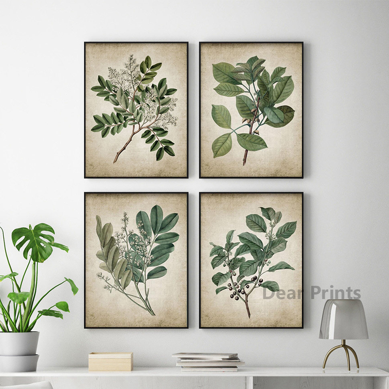 Vintage folha verde poster bot - Live Plant Fertilizer avaliação e preço