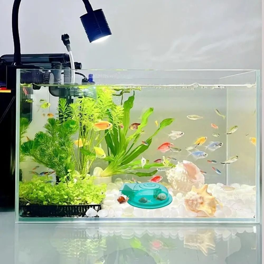 Armadilha para Caracóis de Aqu - Aquarium Fish Escape avaliação e preço