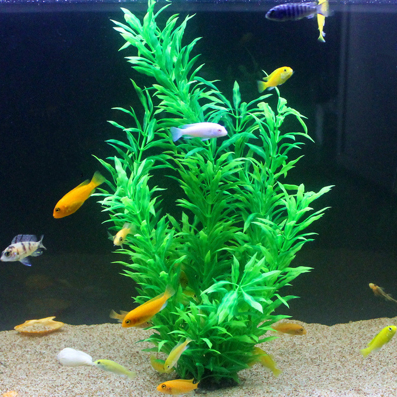 Plantas Artificiais Raras para - Aquarium Fish Artificial avaliação e preço