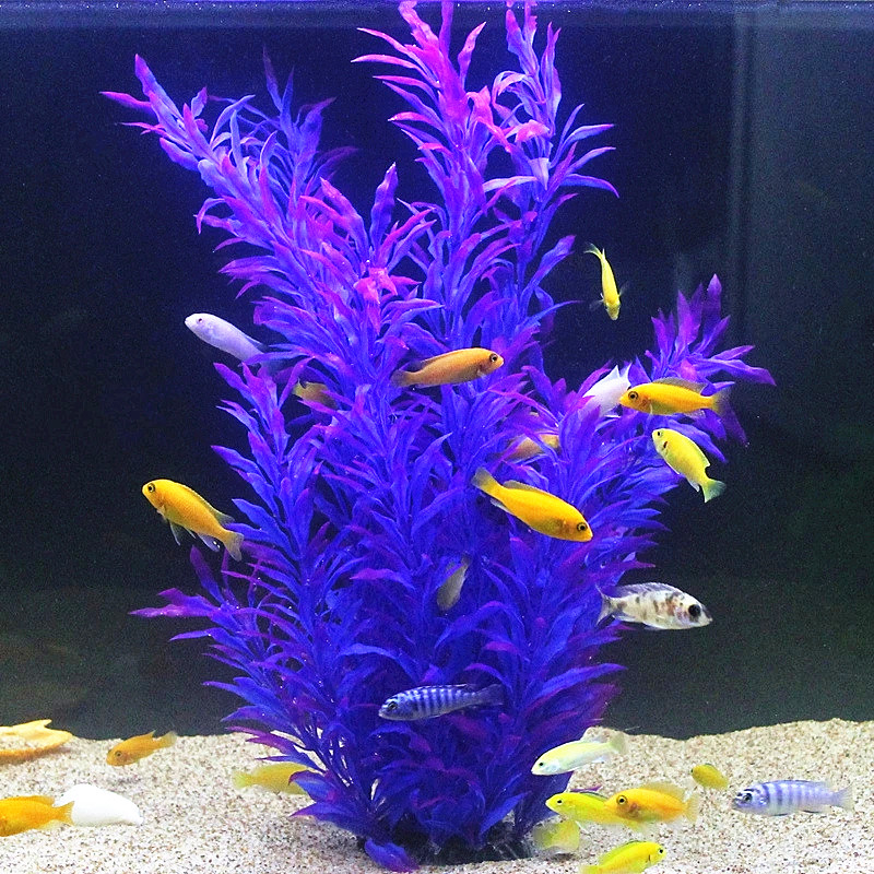 Plantas Artificiais Raras para - Aquarium Fish Artificial avaliação e preço
