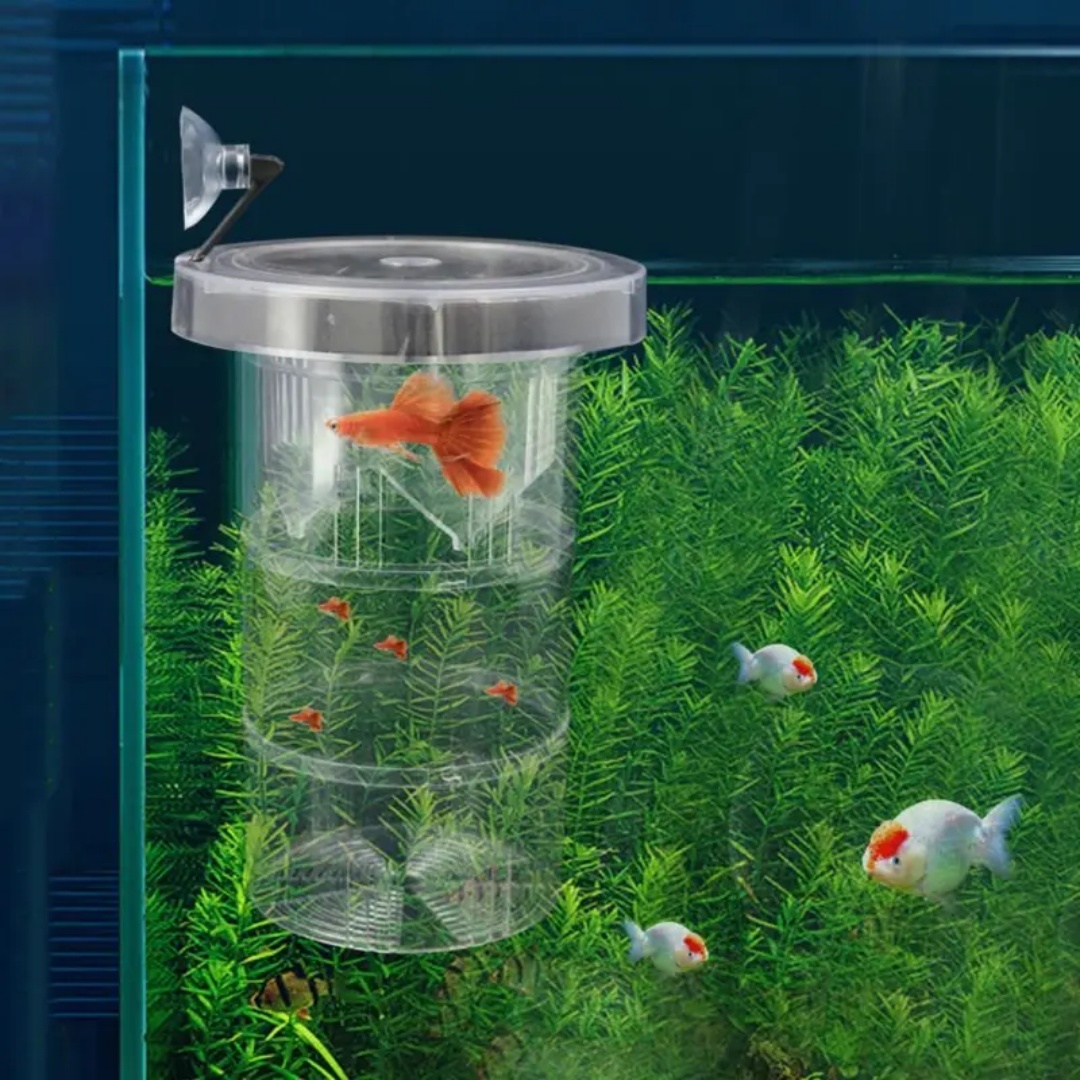 Acrílico flutuante caixa de is - Aquarium Fish Escape avaliação e preço
