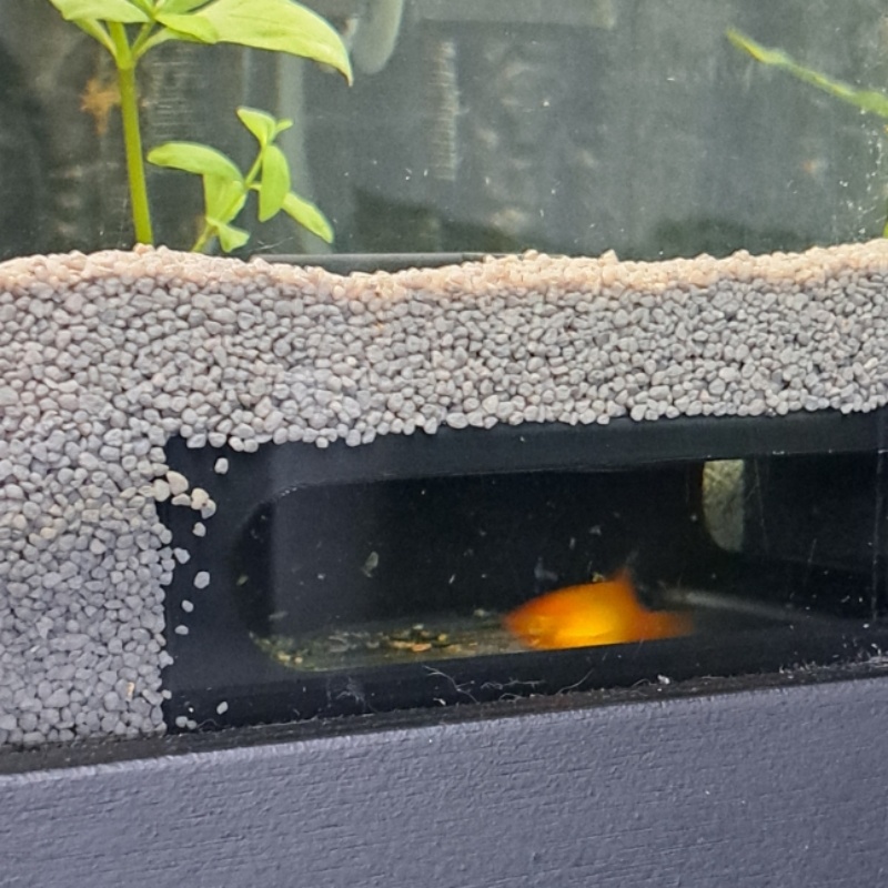 Decoração para Aquário em Form - Aquarium Fish Paradise avaliação e preço