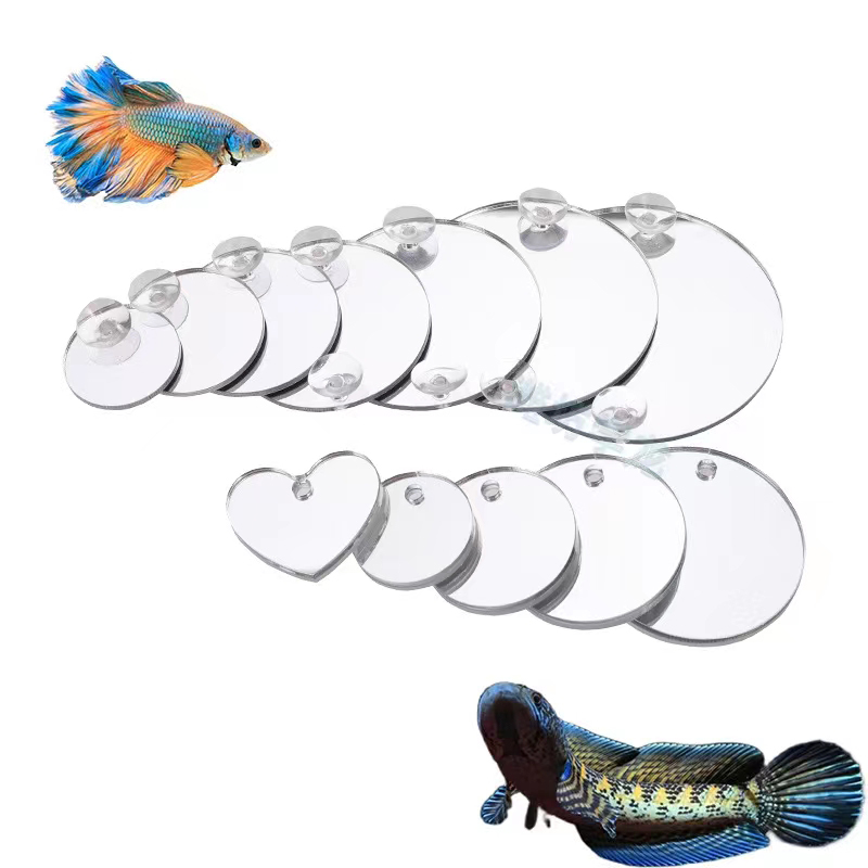 Aquário betta espelho tanque d - Aquarium Fish Escape avaliação e preço