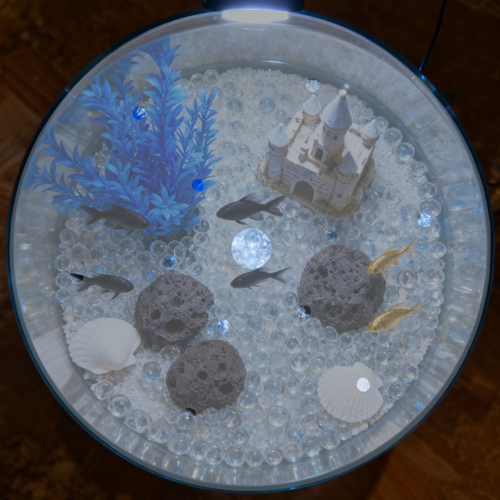 Tampa Redonda de Acrílico de 7 - Aquarium Fish Escape avaliação e preço
