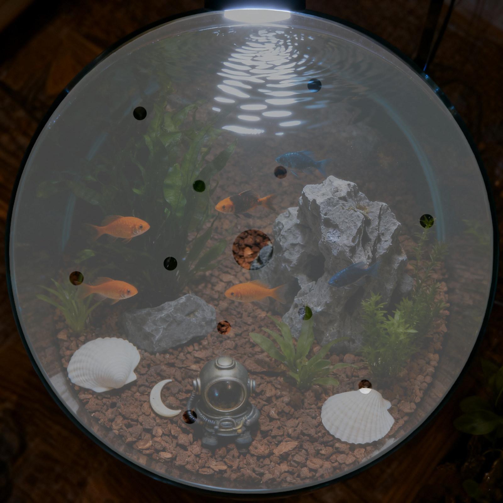 Tampa Redonda de Acrílico de 7 - Aquarium Fish Escape avaliação e preço